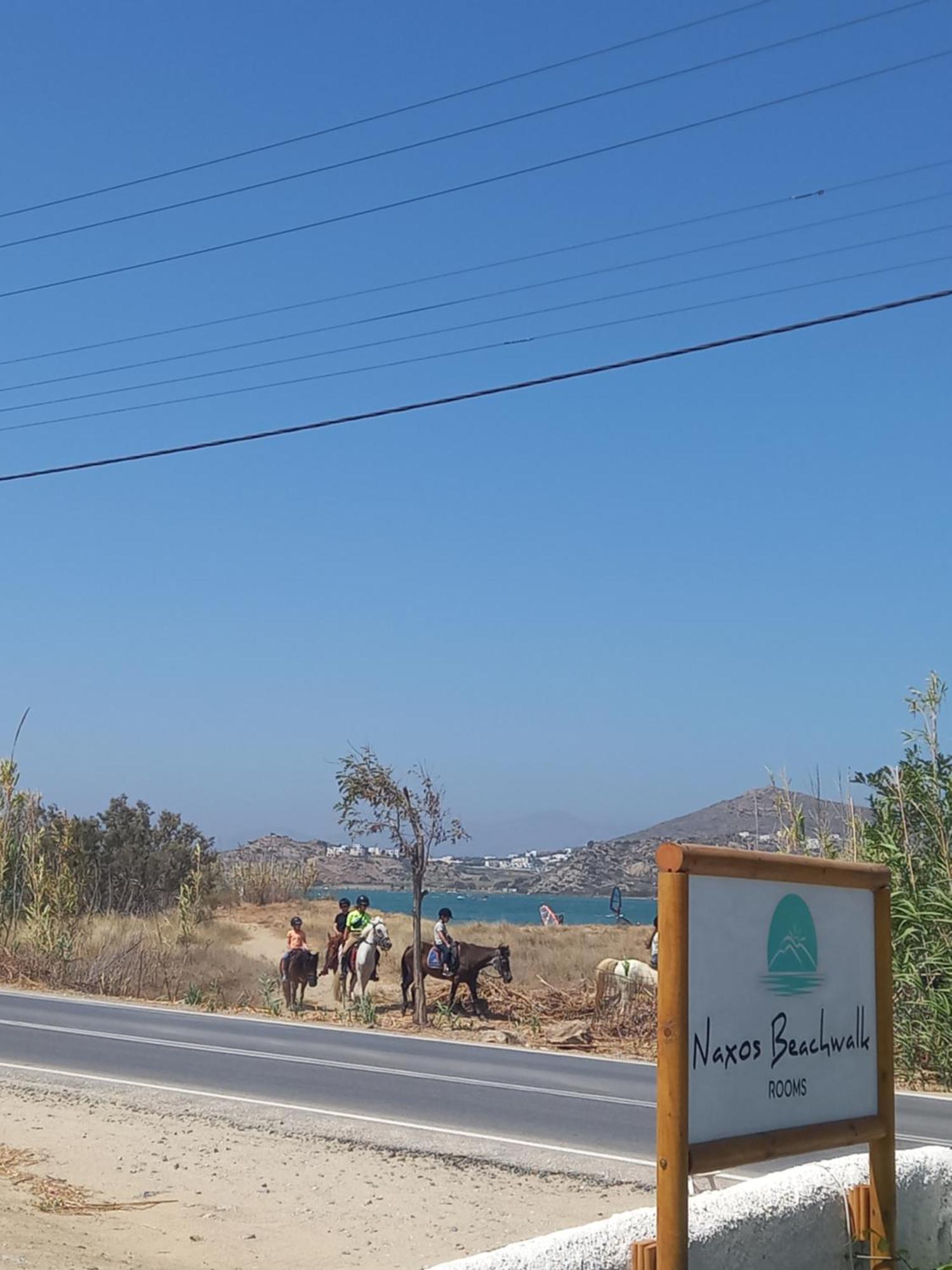 Naxos Beachwalk Naxos City Стая снимка